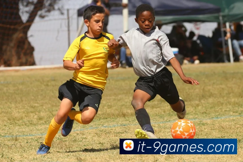 九游官网平台生态图